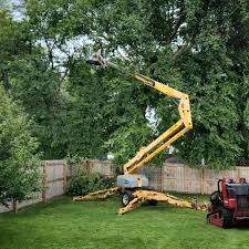 Best Arborist Consultation Services  in Carrollton, VA